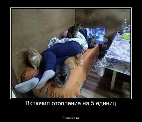 Включил отопление на 5 единиц