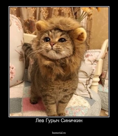 Лев Гурыч Синичкин