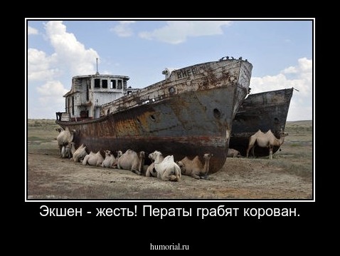 Экшен - жесть! Ператы грабят корован.