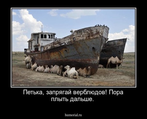 Петька, запрягай верблюдов! Пора плыть дальше. 