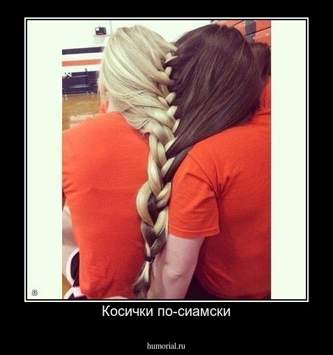 Косички по-сиамски