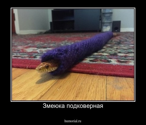 Змеюка подковерная