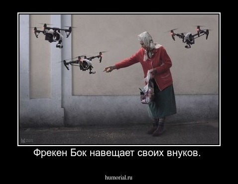 Фрекен Бок навещает своих внуков. 