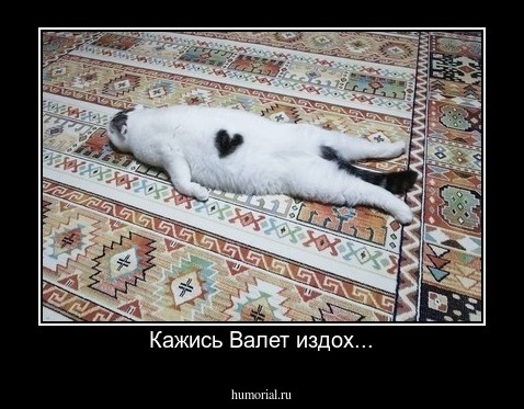 Кажись Валет издох...