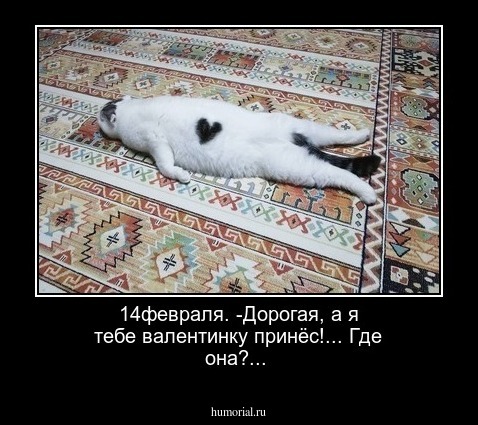 14февраля. -Дорогая, а я тебе валентинку принёс!... Где она?...