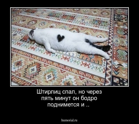 Штирлиц спал, но через пять минут он бодро поднимется и ..