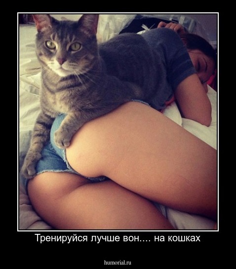 Тренируйся лучше вон.... на кошках