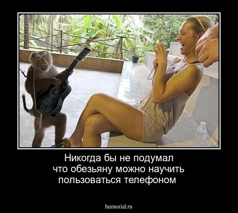Никогда бы не подумал что обезьяну можно научить пользоваться телефоном