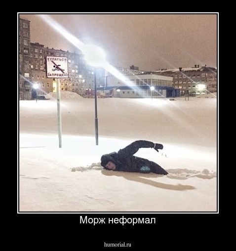 Морж неформал