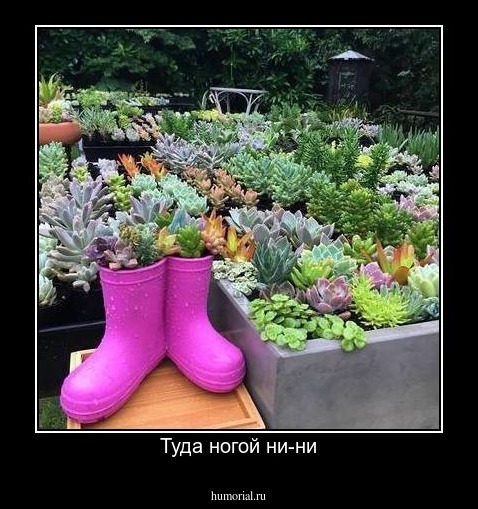 Туда ногой ни-ни