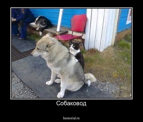 Собаковод