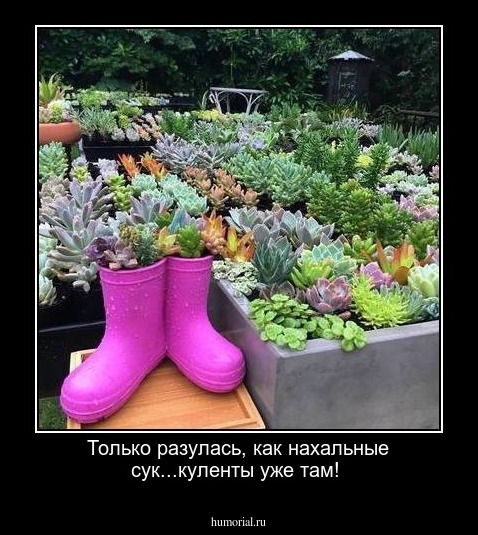 Только разулась, как нахальные сук...куленты уже там!