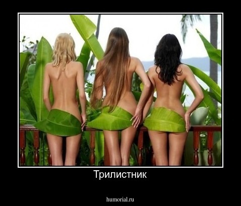 Трилистник