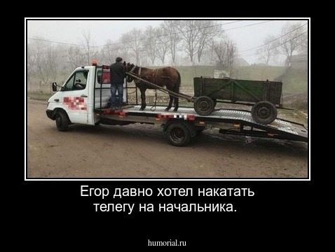 Егор давно хотел накатать телегу на начальника.