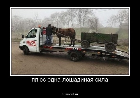 плюс одна лошадиная сила