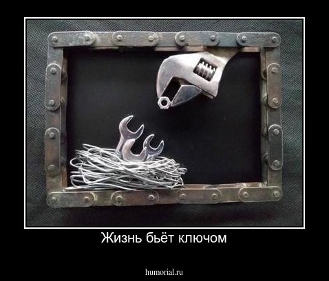 Жизнь бьёт ключом