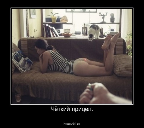 Чёткий прицел.