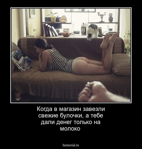 Когда в магазин завезли свежие булочки, а тебе дали денег только на молоко
