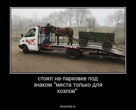 стоял на парковке под знаком  "места только для козлов"