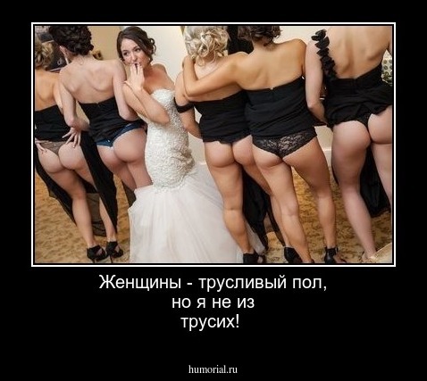 Женщины - трусливый пол, но я не из трусих!