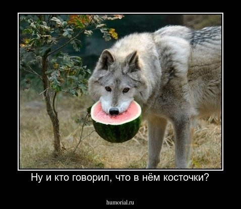 Ну и кто говорил, что в нём косточки?
