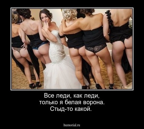 Все леди, как леди, только я белая ворона. Стыд-то какой.