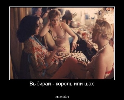 Выбирай - король или шах