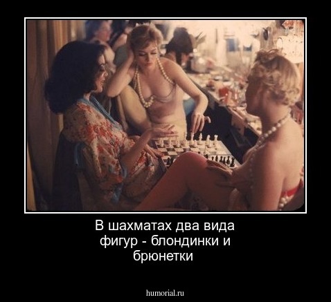 В шахматах два вида фигур - блондинки и брюнетки