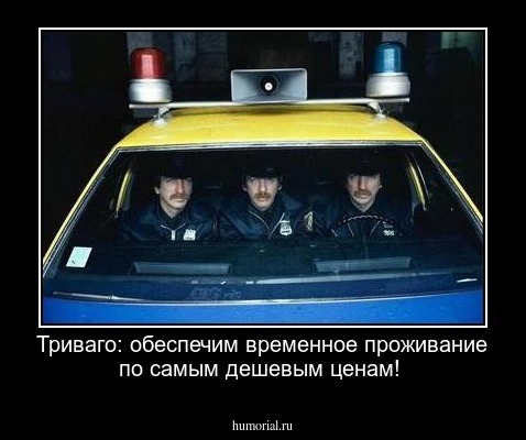 Триваго: обеспечим временное проживание по самым  дешевым ценам!
