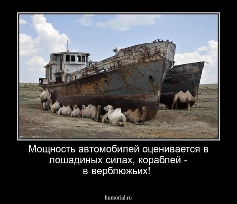 Мощность автомобилей оценивается в лошадиных силах, кораблей - в верблюжьих!