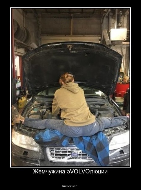 Жемчужина эVOLVOлюции