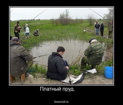 Платный пруд.     