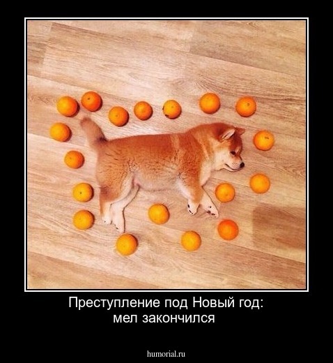 Преступление под Новый год: мел закончился