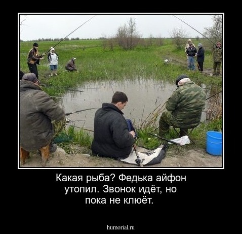 Какая рыба? Федька айфон утопил. Звонок идёт, но пока не клюёт.
