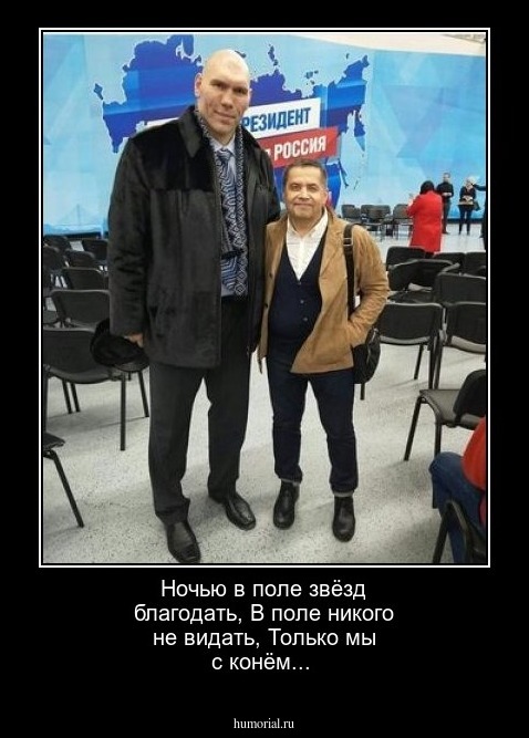Ночью в поле звёзд благодать,
В поле никого не видать,
Только мы с конём...
