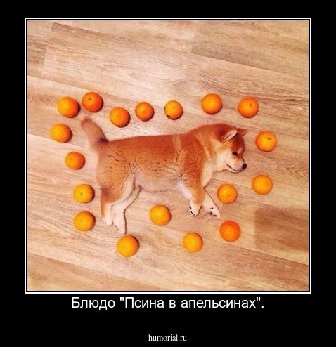 Блюдо "Псина в апельсинах".