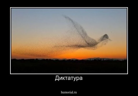 Диктатура