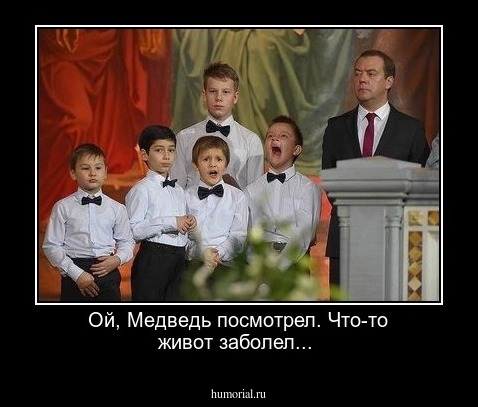 Ой, Медведь посмотрел. Что-то живот заболел...