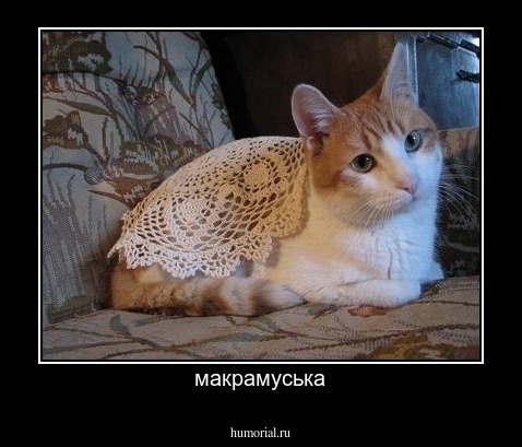 макрамуська