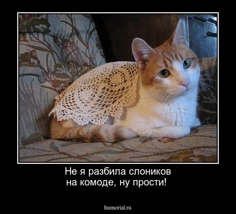 Не я разбила слоников на комоде, ну прости!
