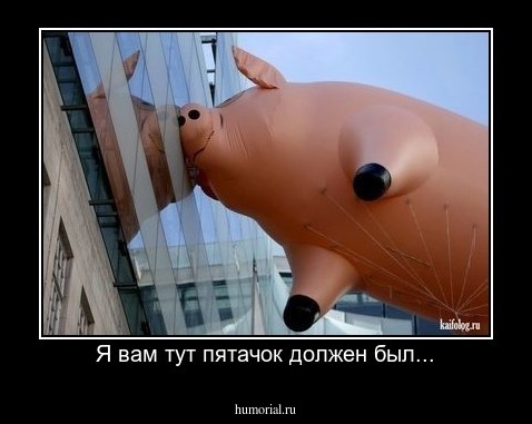 Я вам тут пятачок должен был...