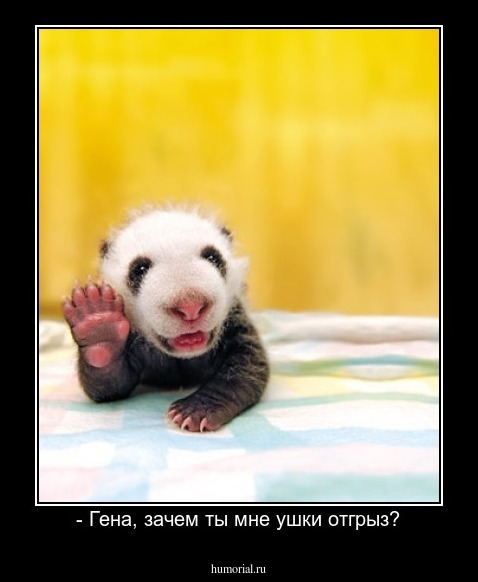 - Гена, зачем ты мне ушки отгрыз?