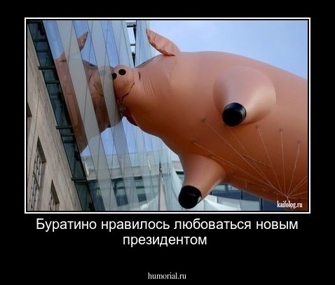 Буратино нравилось любоваться новым президентом