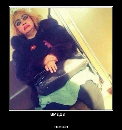 Тамада.     