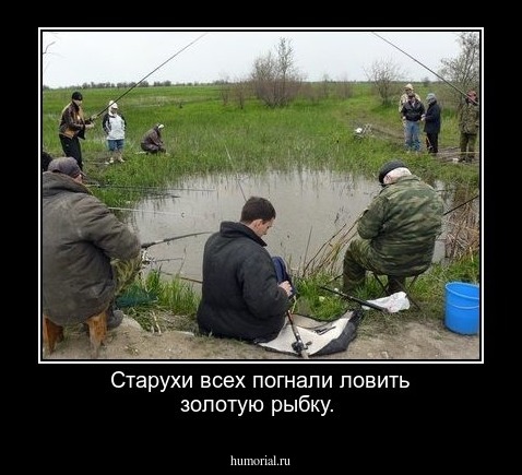 Старухи всех погнали ловить золотую рыбку.