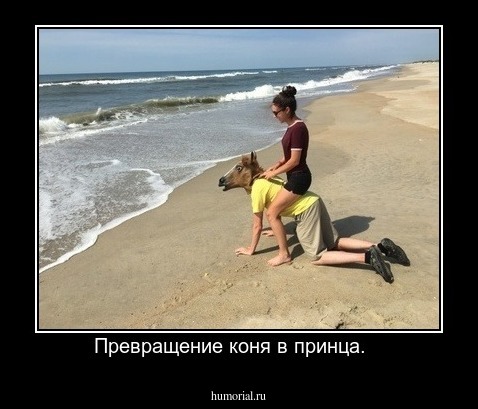 Превращение коня в принца.   