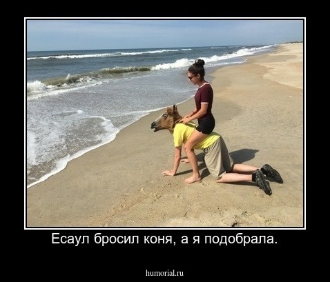 Есаул бросил коня, а я подобрала.