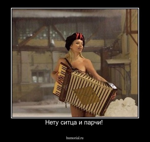 Нету ситца и парчи! 