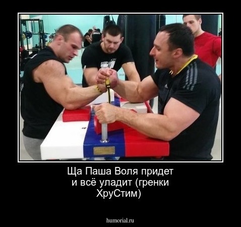 Ща Паша Воля придет и всё уладит (гренки ХруСтим)