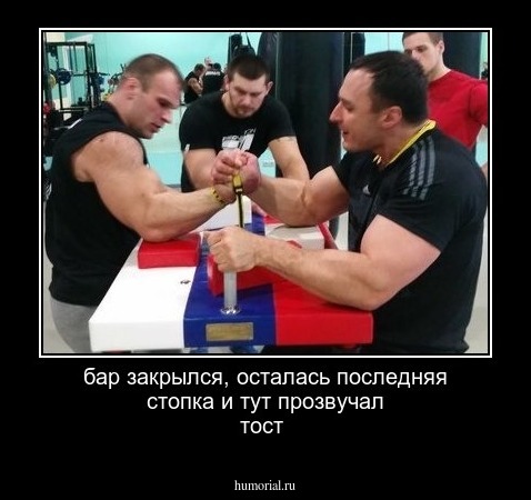 бар закрылся,  осталась  последняя  стопка и тут прозвучал тост